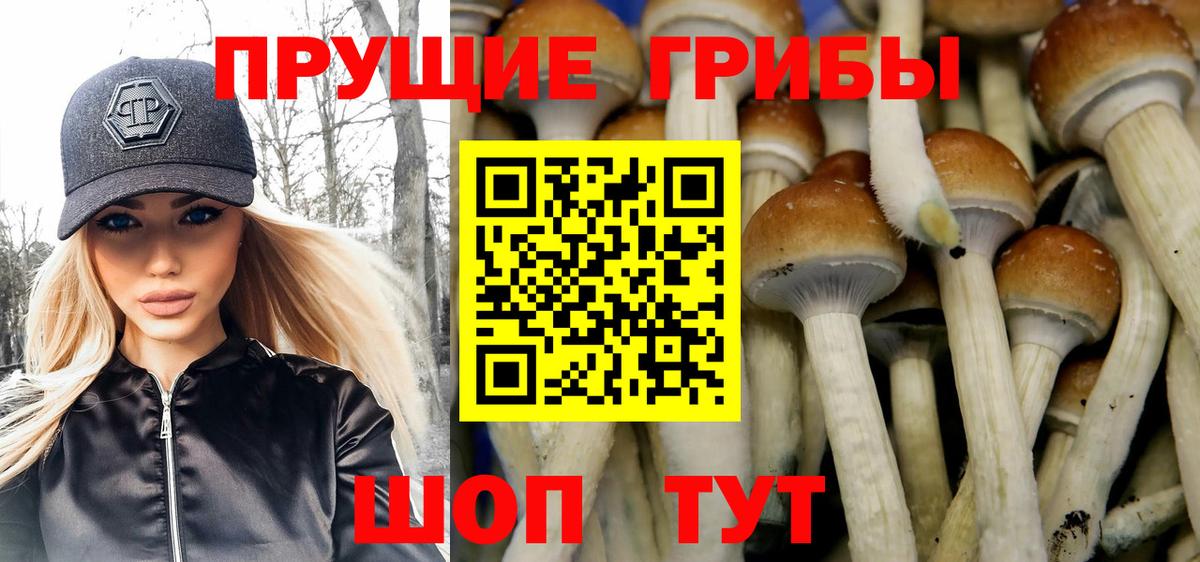 Галлюциногенные грибы Cubensis Великие Луки