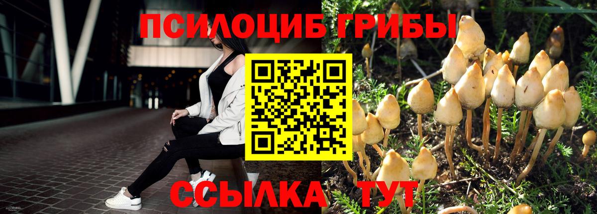 Великие Луки  Галлюциногенные грибы мухоморы  Вход с VPN 